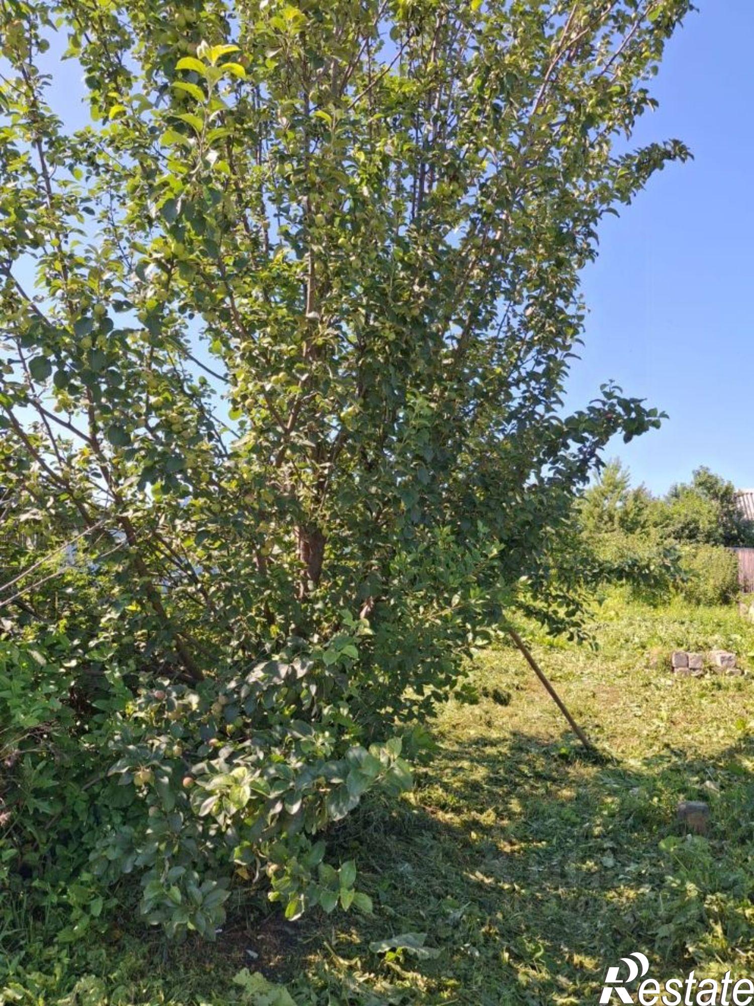 Купить дачу, дом, коттедж за 1 800 000 рублей на ул Карла Маркса, 16