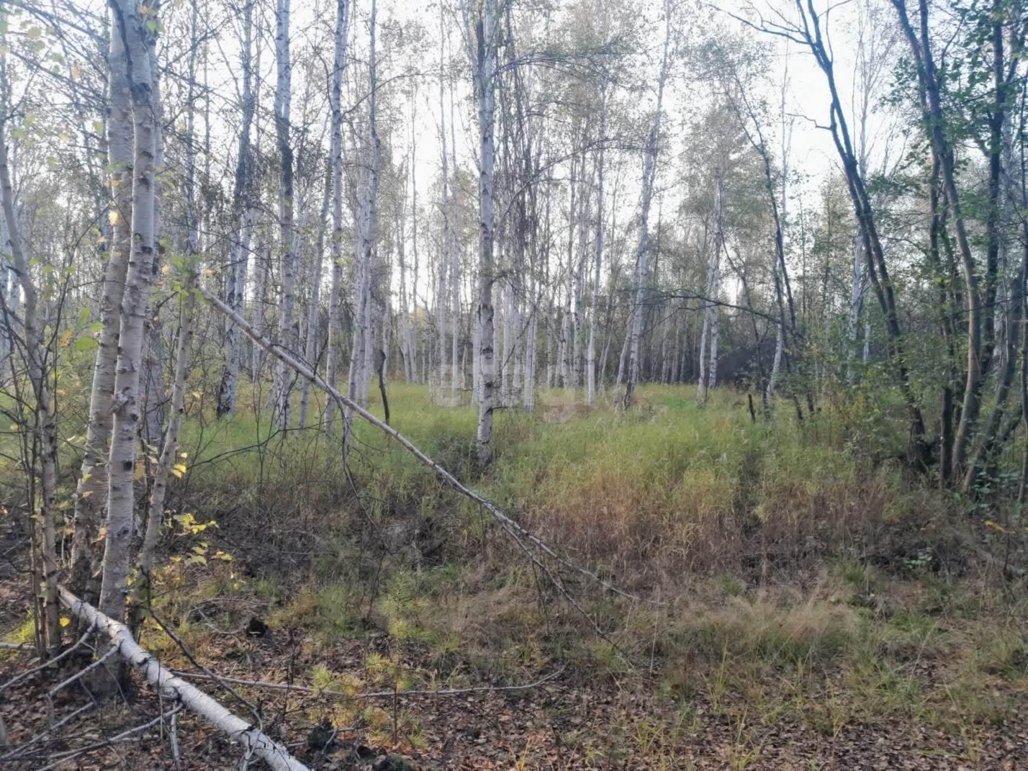 Купить землю, земельный участок за 4 000 000 рублей на Первоуральск