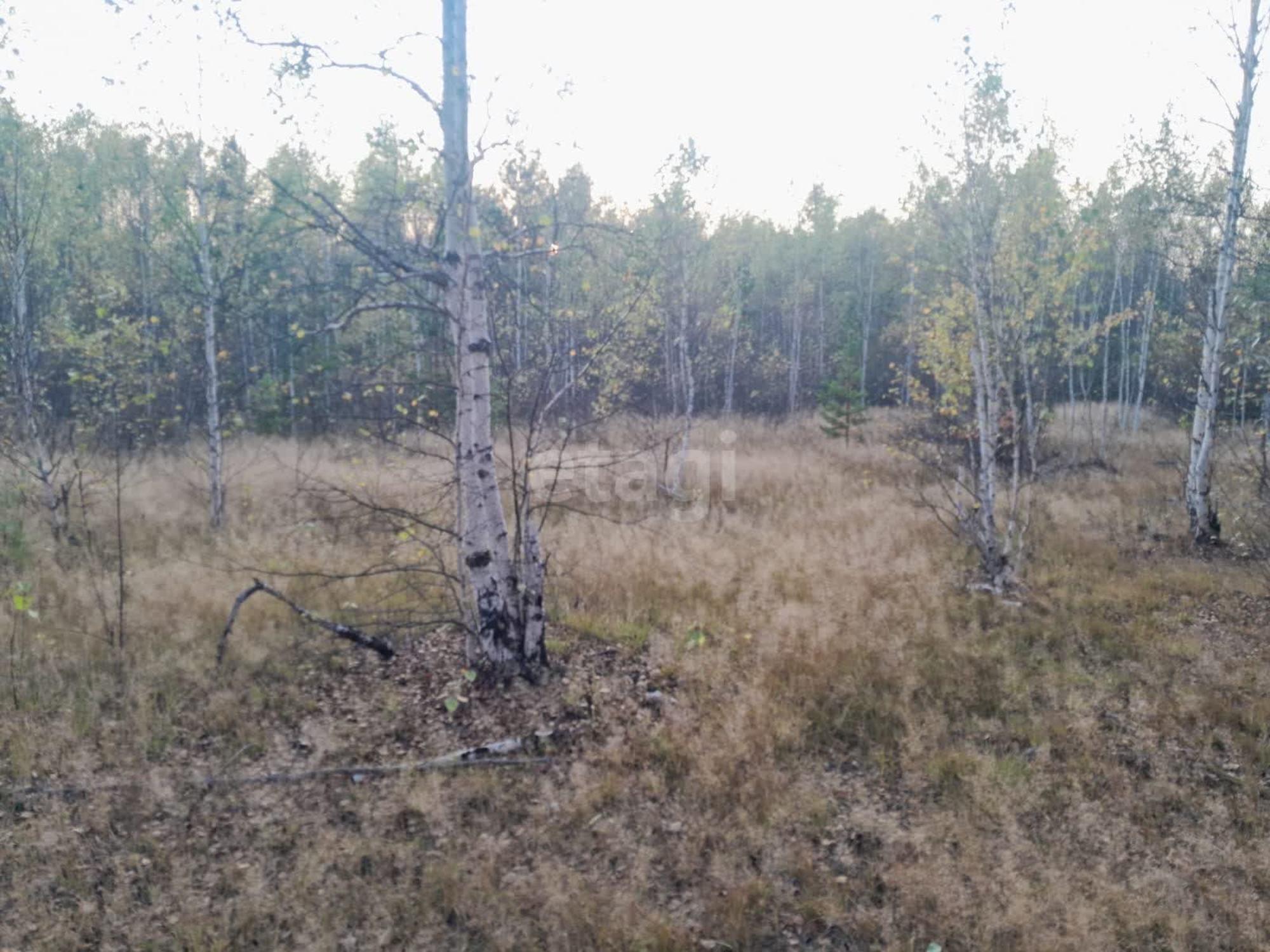 Купить землю, земельный участок за 4 000 000 рублей на Первоуральск