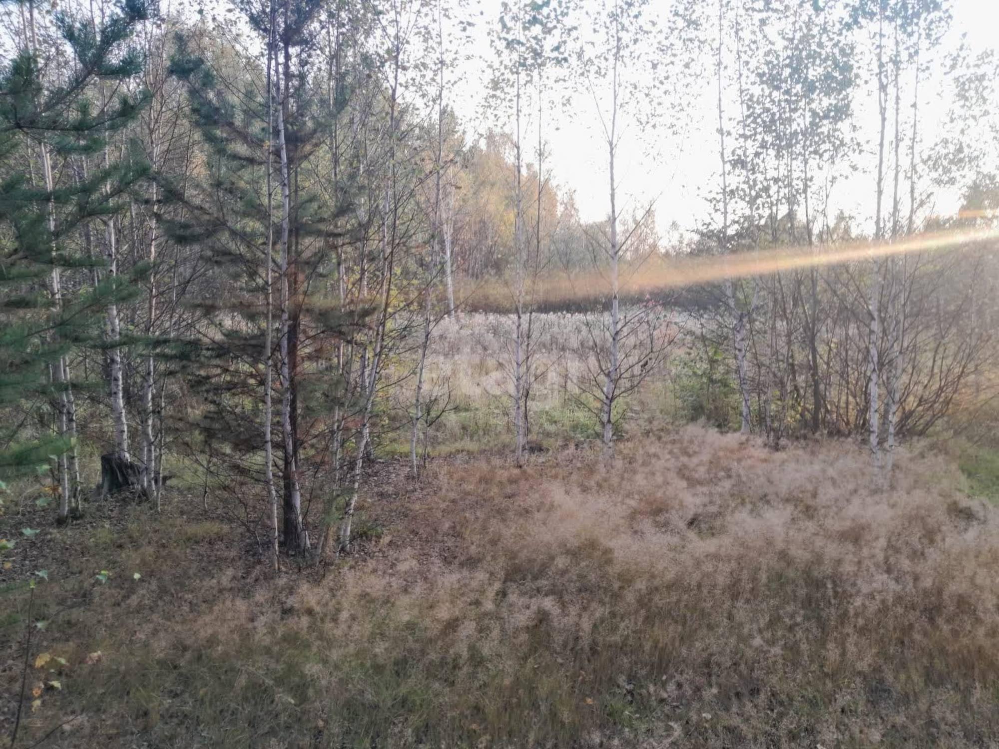 Купить землю, земельный участок за 4 000 000 рублей на Первоуральск