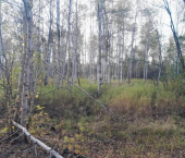 земля 255.42 сот Первоуральск