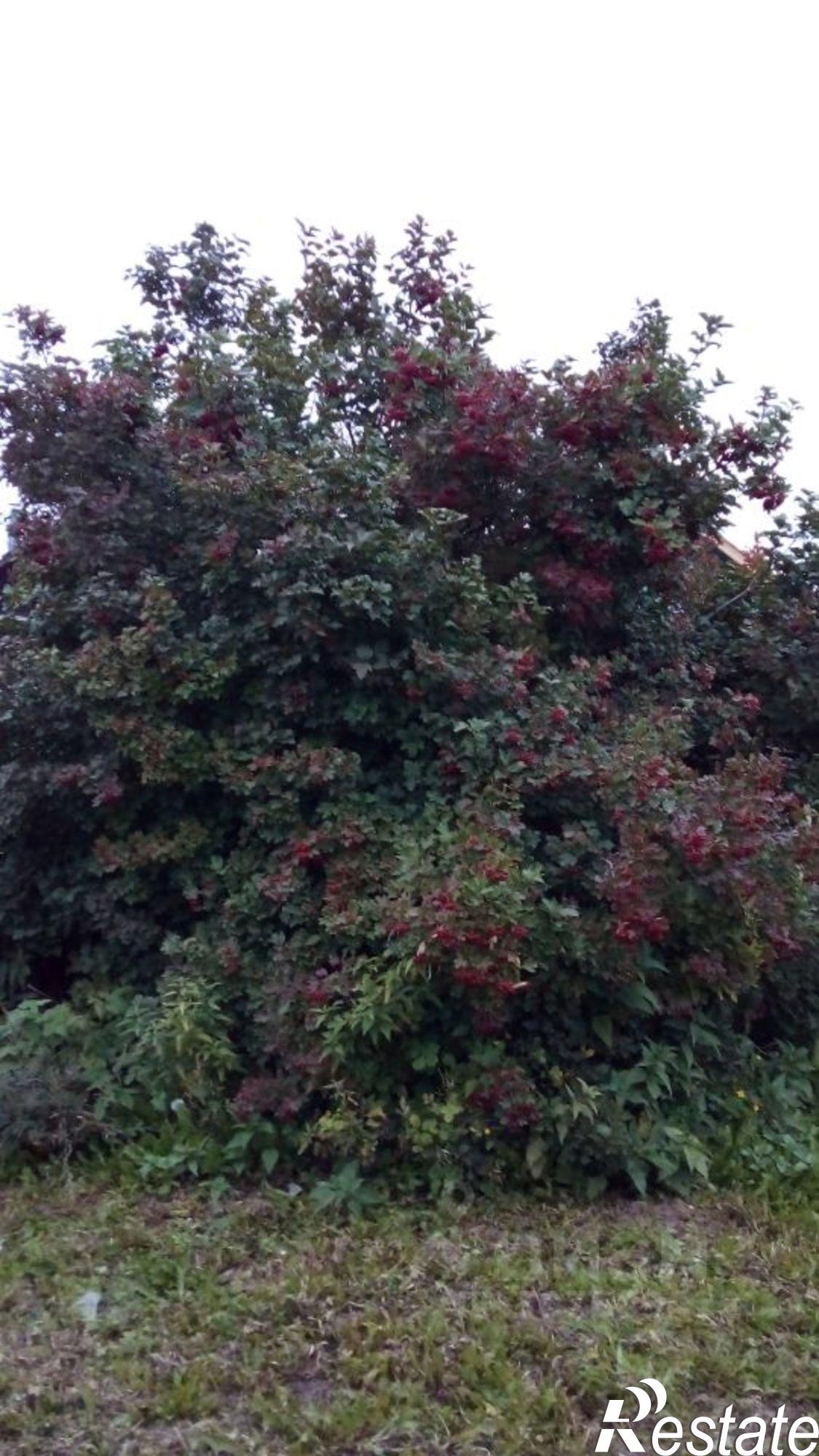 Купить дачу, дом, коттедж за 4 900 000 рублей на Торговая улица