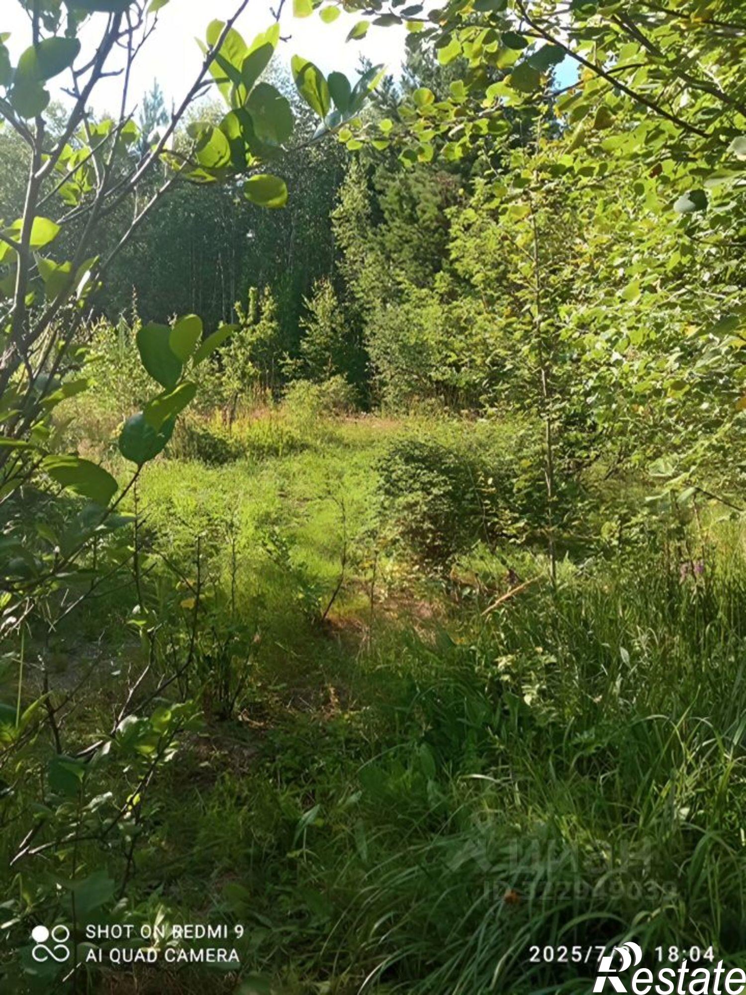 Купить землю, земельный участок за 60 000 рублей