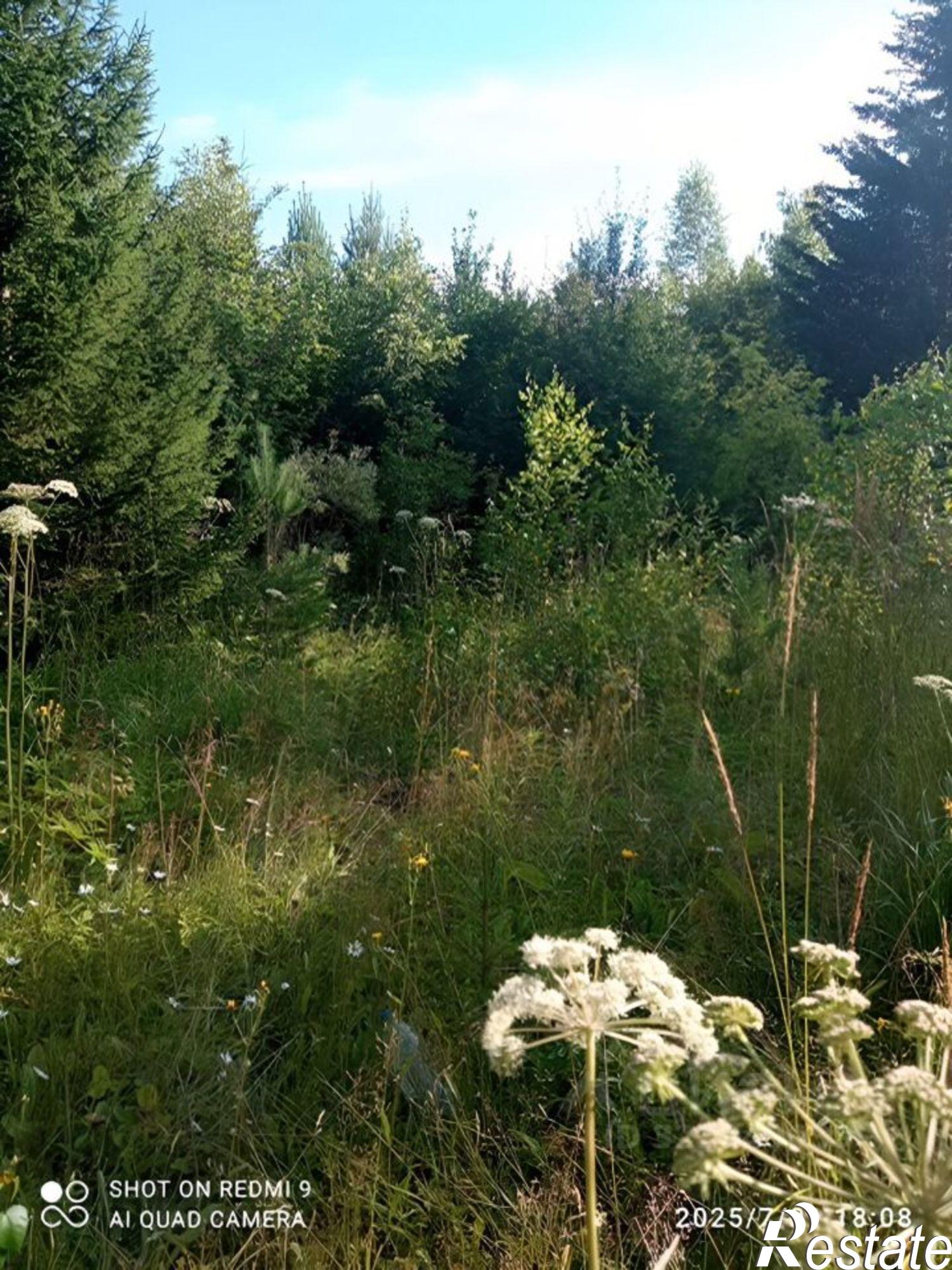 Купить землю, земельный участок за 60 000 рублей