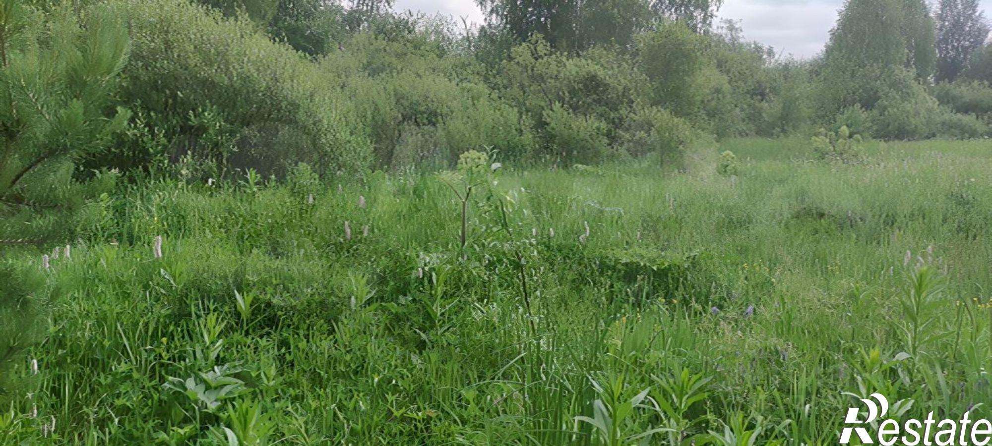 Купить землю, земельный участок за 7 000 000 рублей