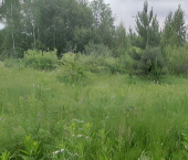 земля 100 сот 