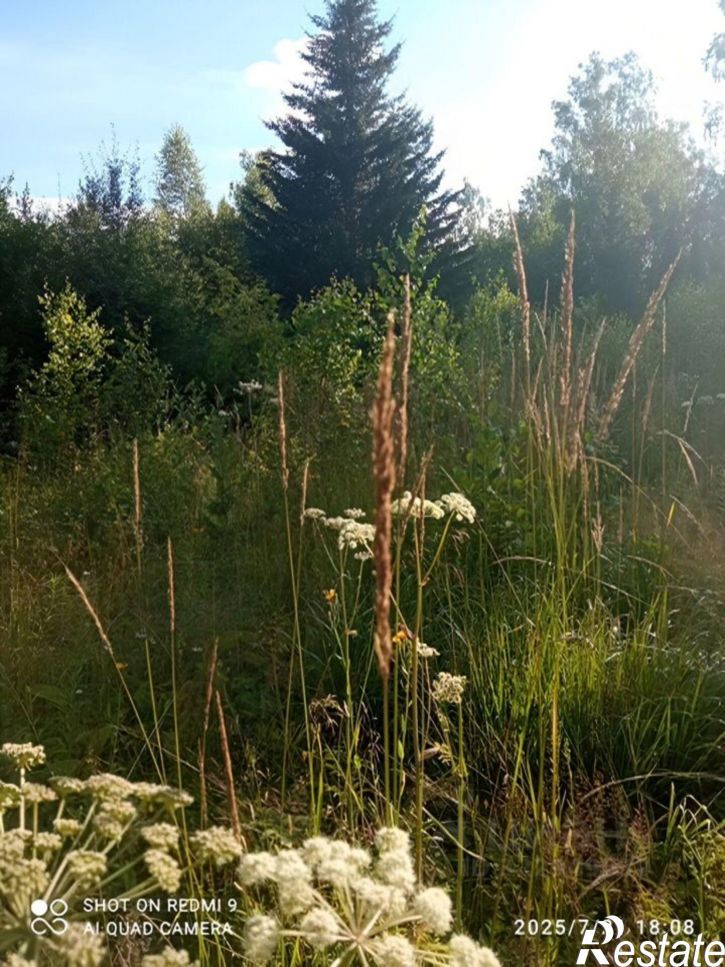 Земельный участок