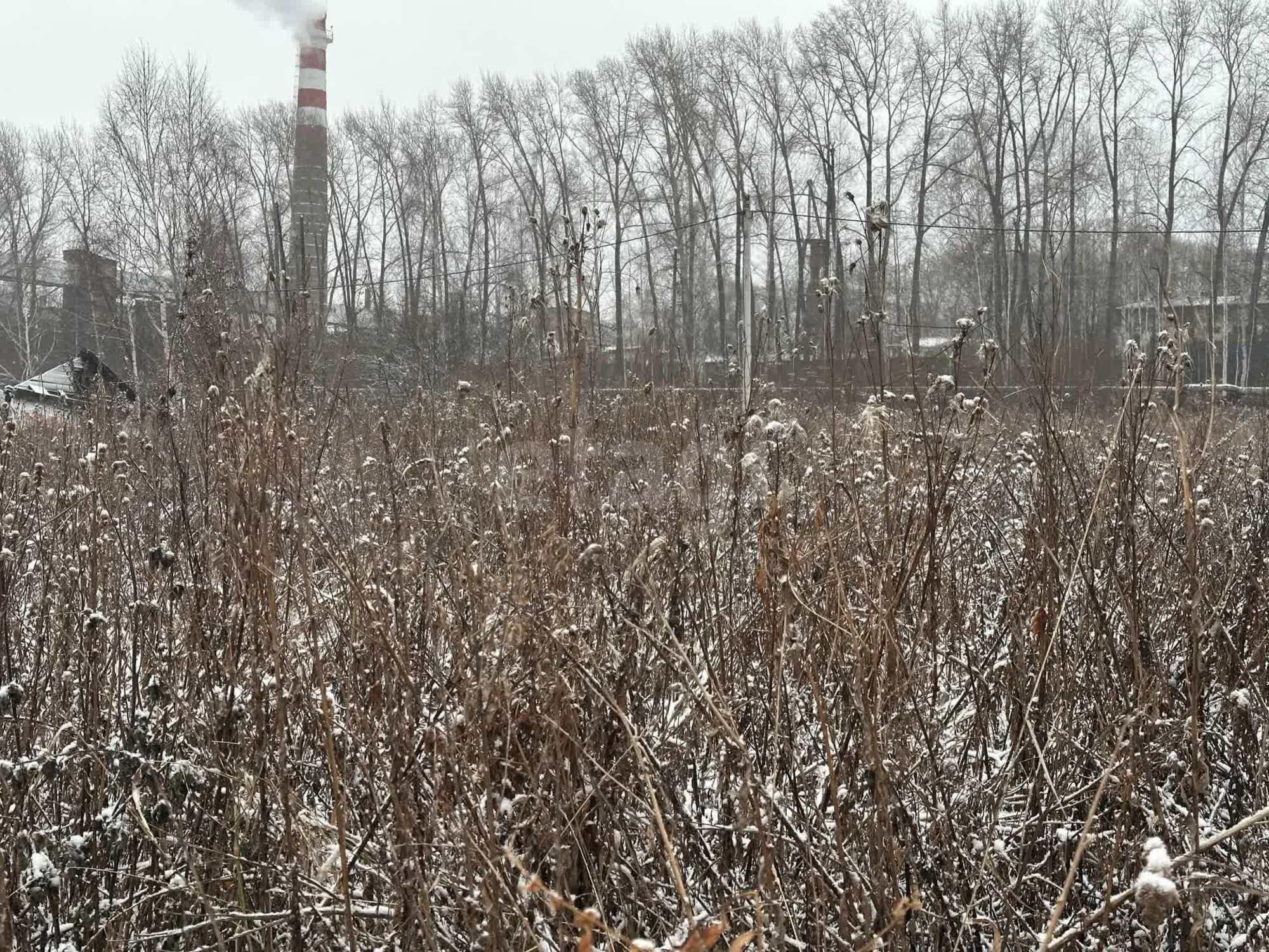 Купить землю, земельный участок за 2 000 000 рублей на улица Чернышевского