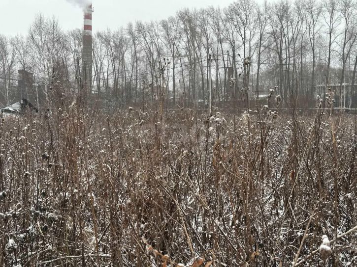 Земельный участок улица Чернышевского