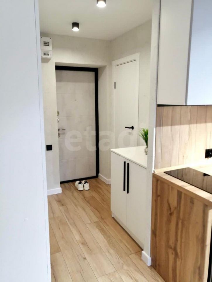 Студия проспект Ильича