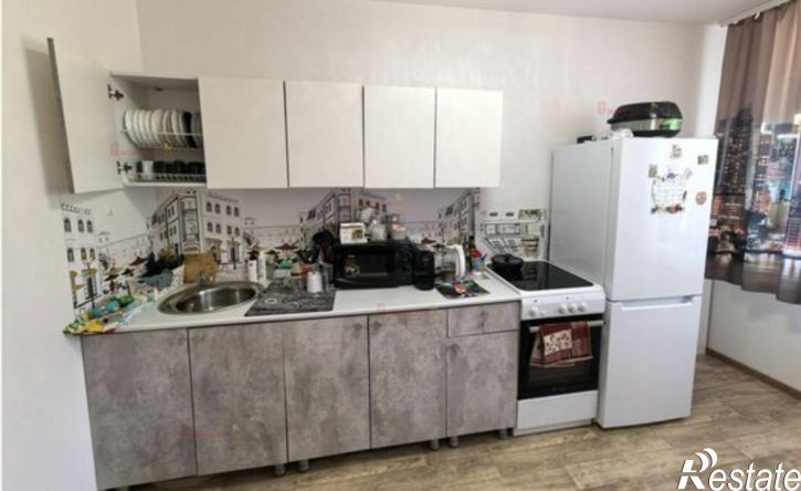 1-комн квартира улица Сакко и Ванцетти, 10,  д. 10